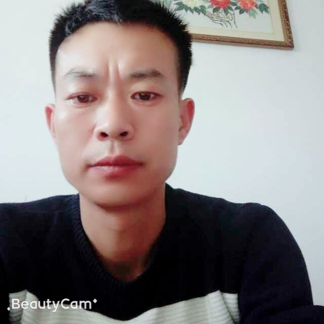 风中追风的第一张照片--台湾王婆说媒