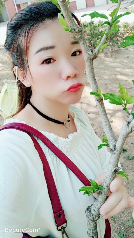 时光的第一张照片--台湾王婆说媒
