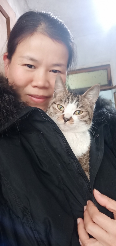 紫竹调的第一张照片--台湾王婆说媒