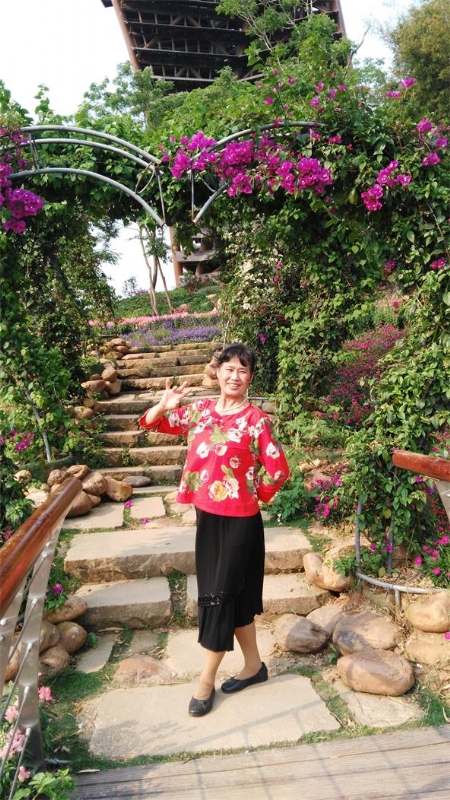 桂春的第一张照片--台湾王婆说媒