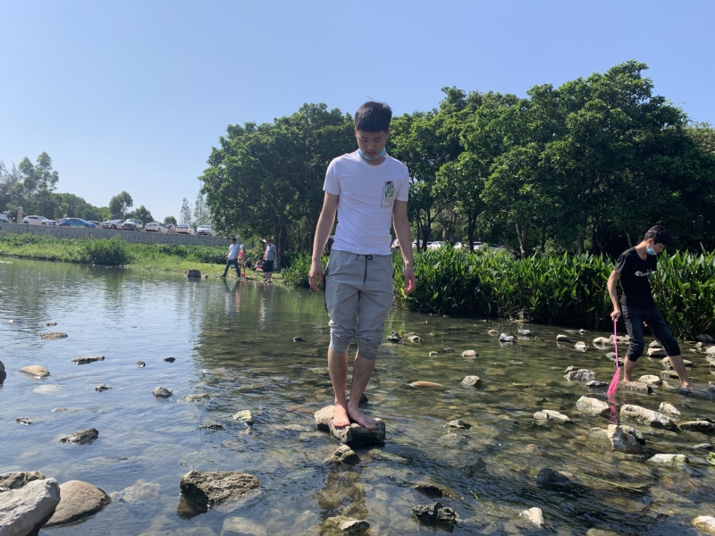 放假吃鸡的第二张照片--台湾王婆说媒