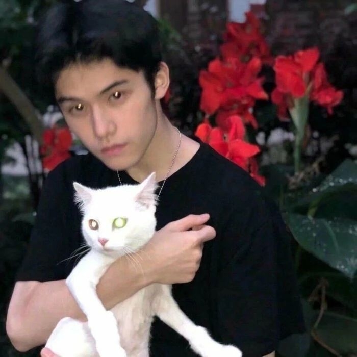 爷的魅力你不懂的第一张照片--台湾王婆说媒
