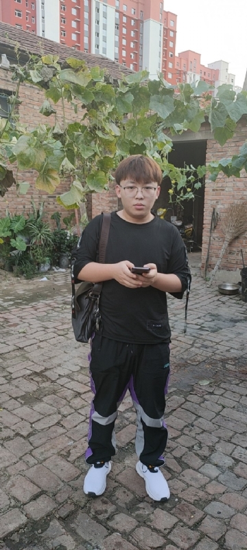 辛禹的第二张照片--台湾王婆说媒