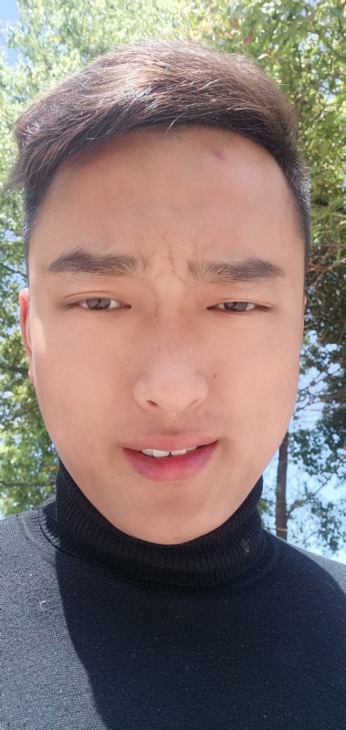 乐毅的第二张照片--台湾王婆说媒