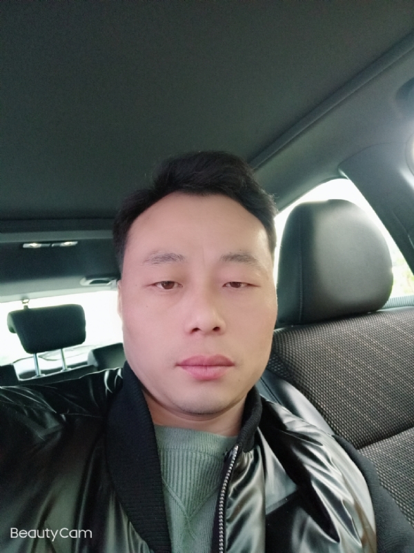 放飞的羊的第一张照片--台湾王婆说媒