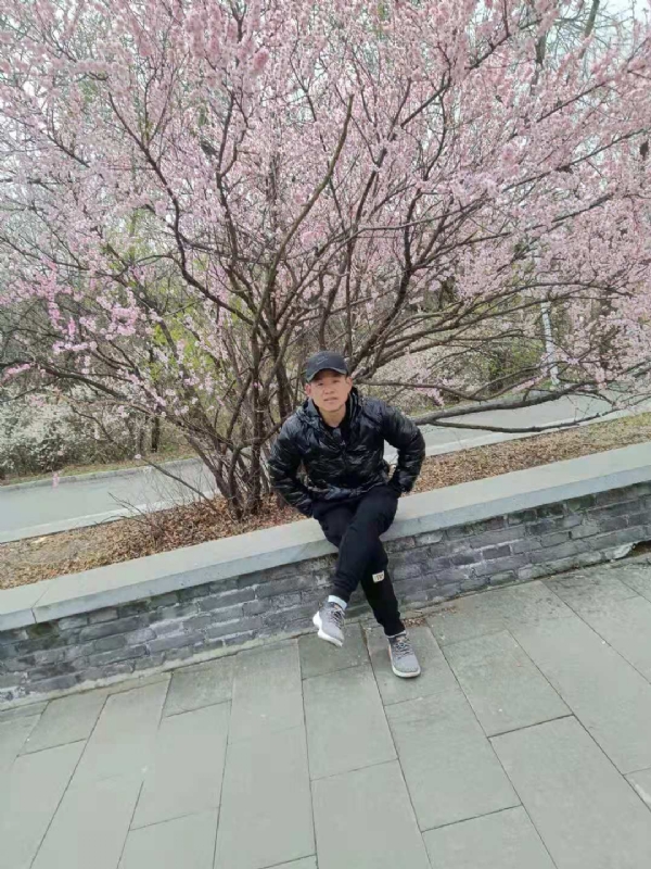 寻找幸福的第一张照片--台湾王婆说媒
