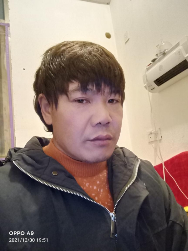 小鸟找窝的第一张照片--台湾王婆说媒
