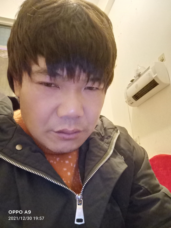 小鸟找窝的第二张照片--台湾王婆说媒