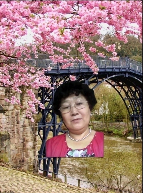 s铭的第三张照片--台湾王婆说媒