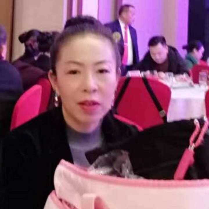 中秋桂花玉兔的第四张照片--台湾王婆说媒