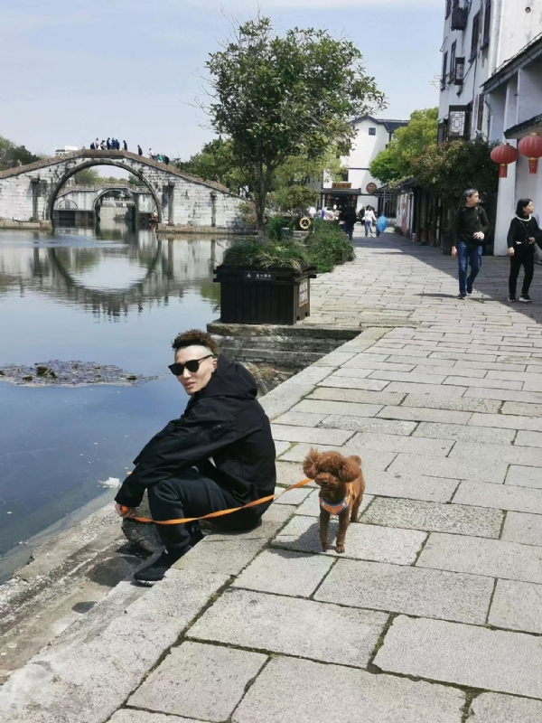 皮卡丘的第一张照片--台湾王婆说媒