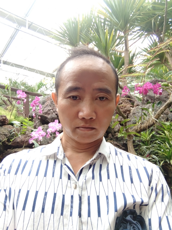 闲云盘鹤的第一张照片--台湾王婆说媒