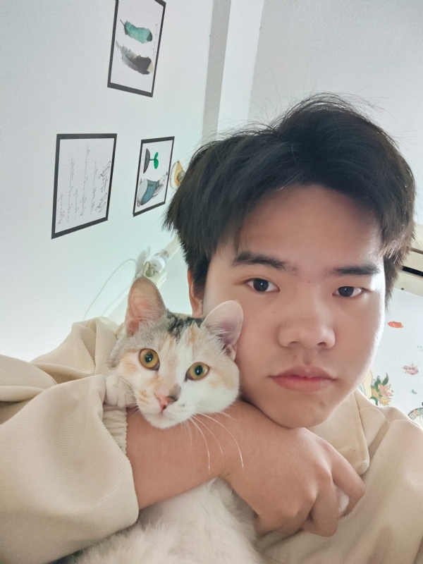 淮阳的第一张照片--台湾王婆说媒